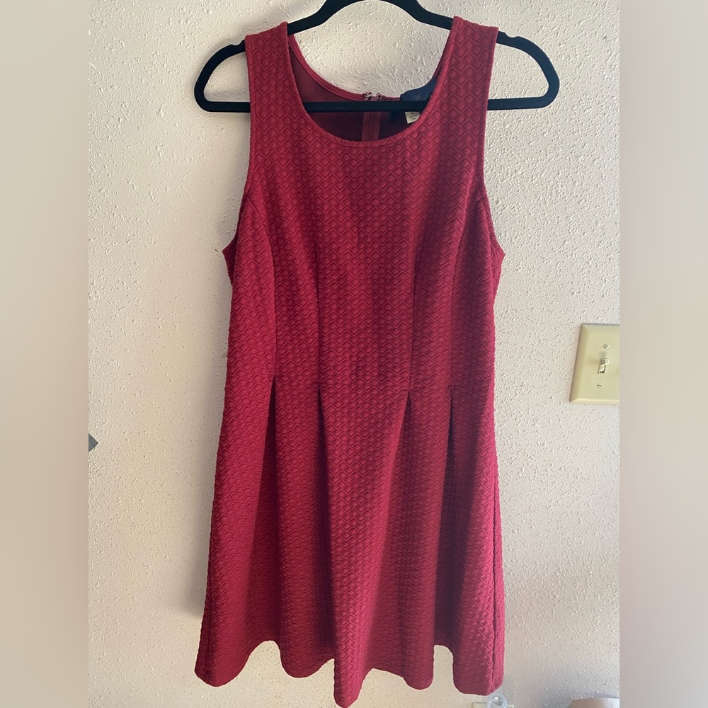 Blue Rain Red Dress